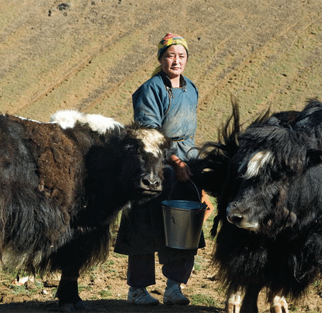 Mongolia Today: Modern Culture and Foreign Relations