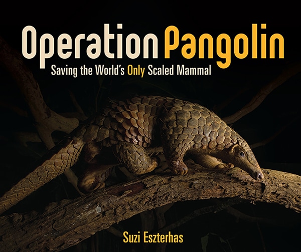 Operation Pangolin: Saving the World’s Only Scaled Mammal