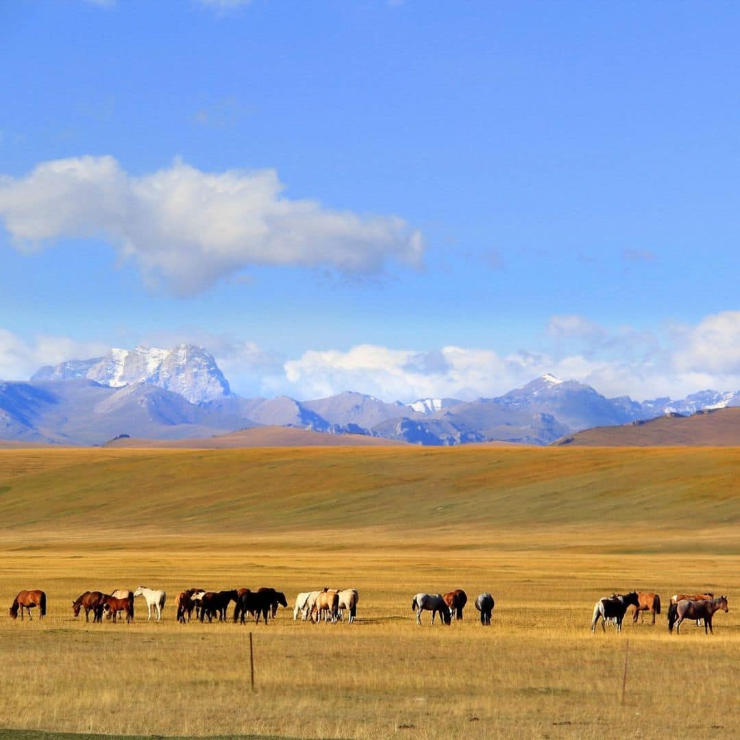 Behind the Headlines: Xinjiang