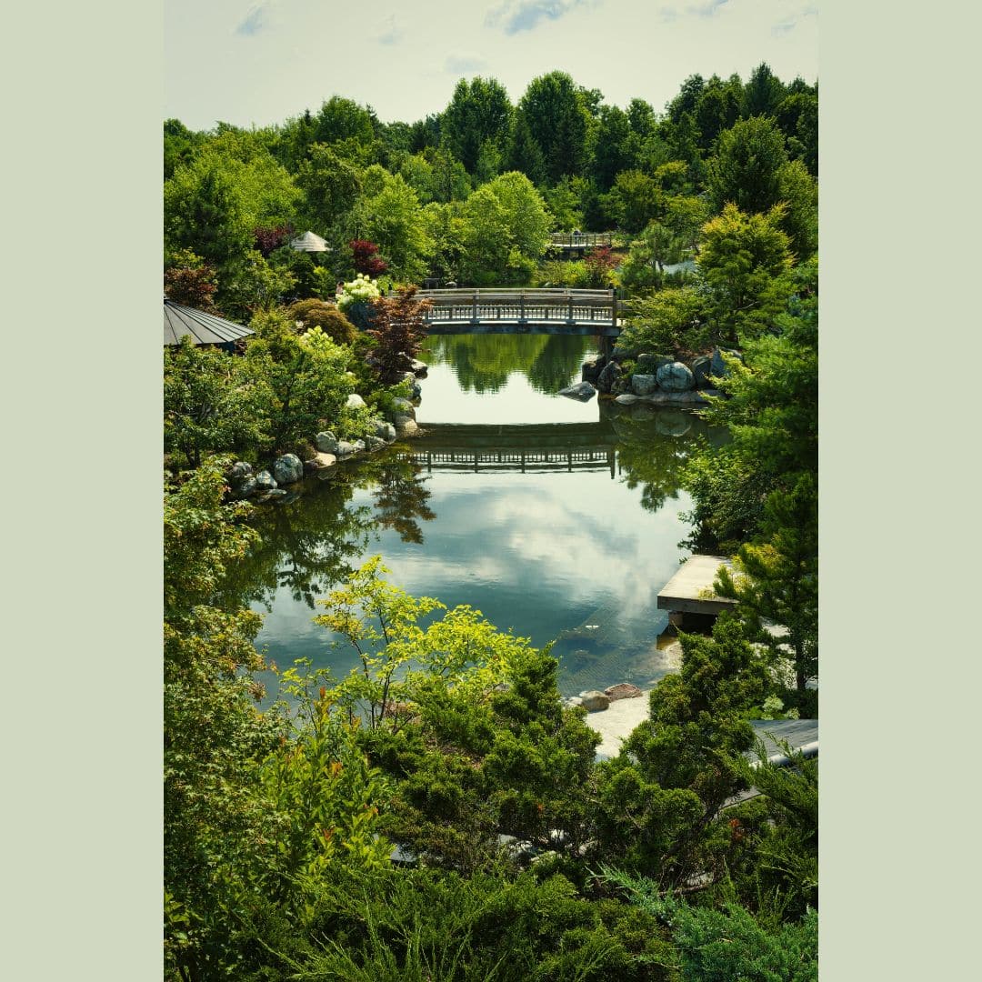 Environmental Relations in Japan