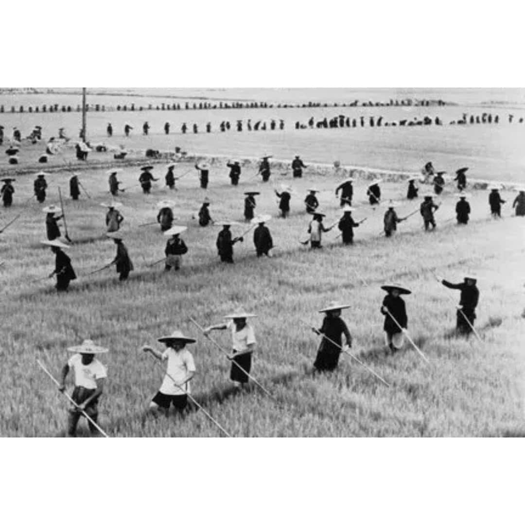 Asian Topic Discussion Series: The Great Leap Forward in 1950s China